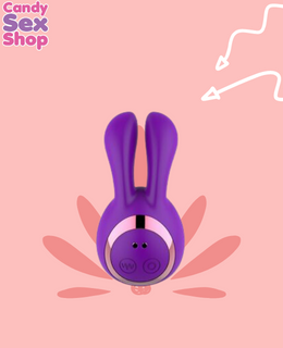 41.  Rabbit 2 In 1   Clit & Nipple Stimulator – Purple  (ja6622) (3)