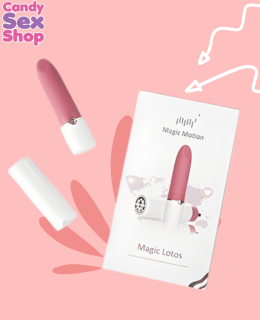 141.  Magic Lotos App (ja6827)