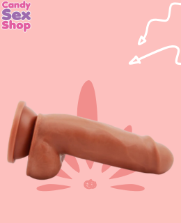 80.  Lecher Latin (ja6054) (3)