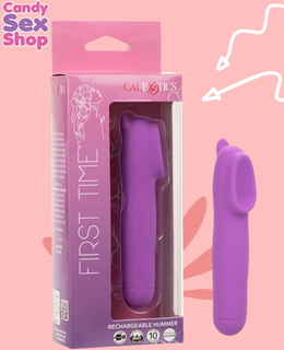 393. First Time Rechargeable Hummer (ja8649)