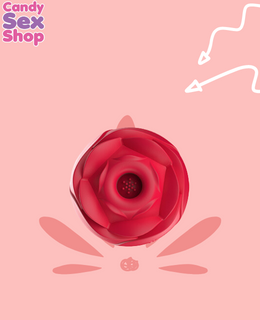 390.  S Hand   Inmortal Flower (ja6623) (3)