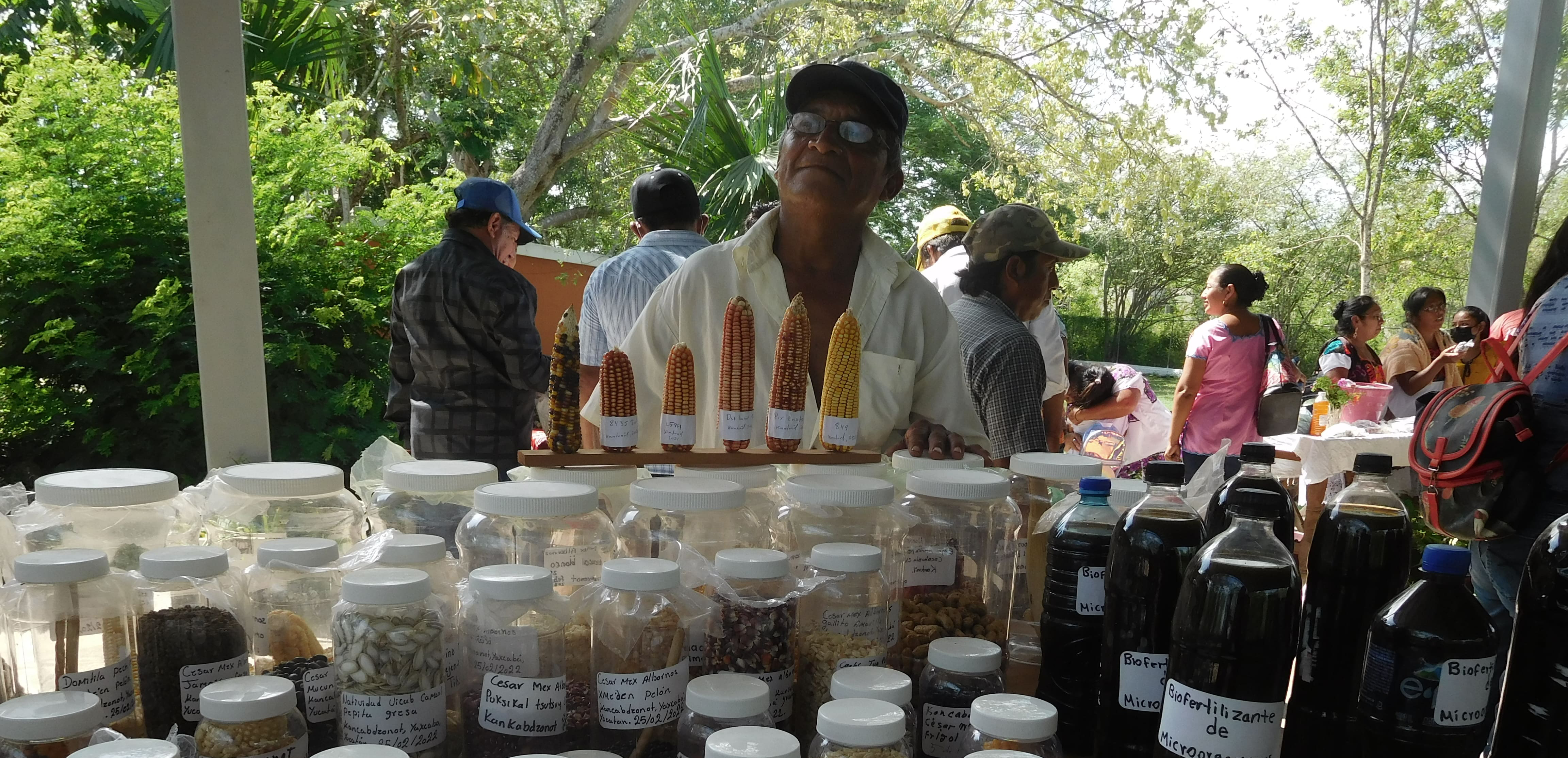 <p>Promovemos la recuperación, la conservación y la defensa de las semillas criollas, en la “Feria anual de las semillas criollas”.</p>